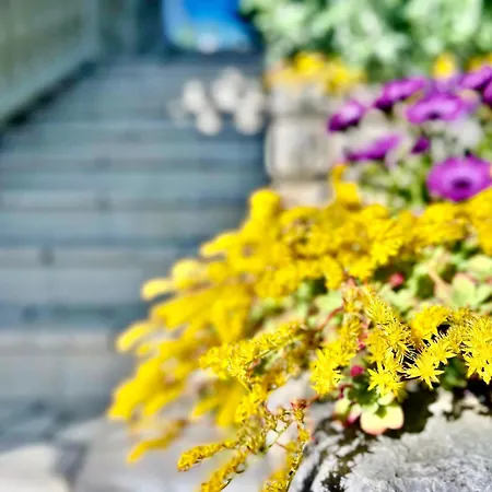 Apartament Balcon Del Mar