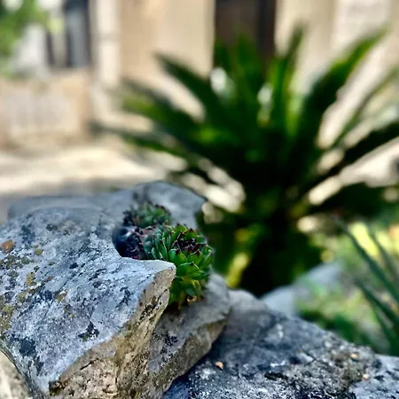 Apartment Balcon Del Mar