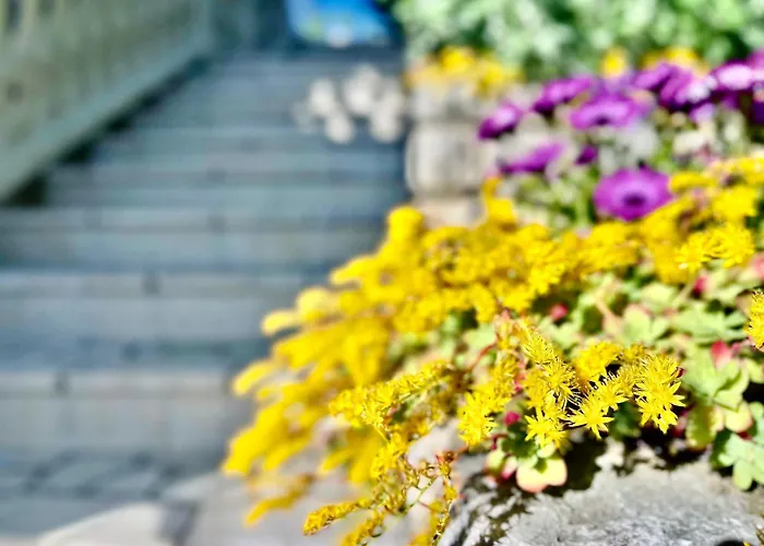 公寓 Balcon Del Mar